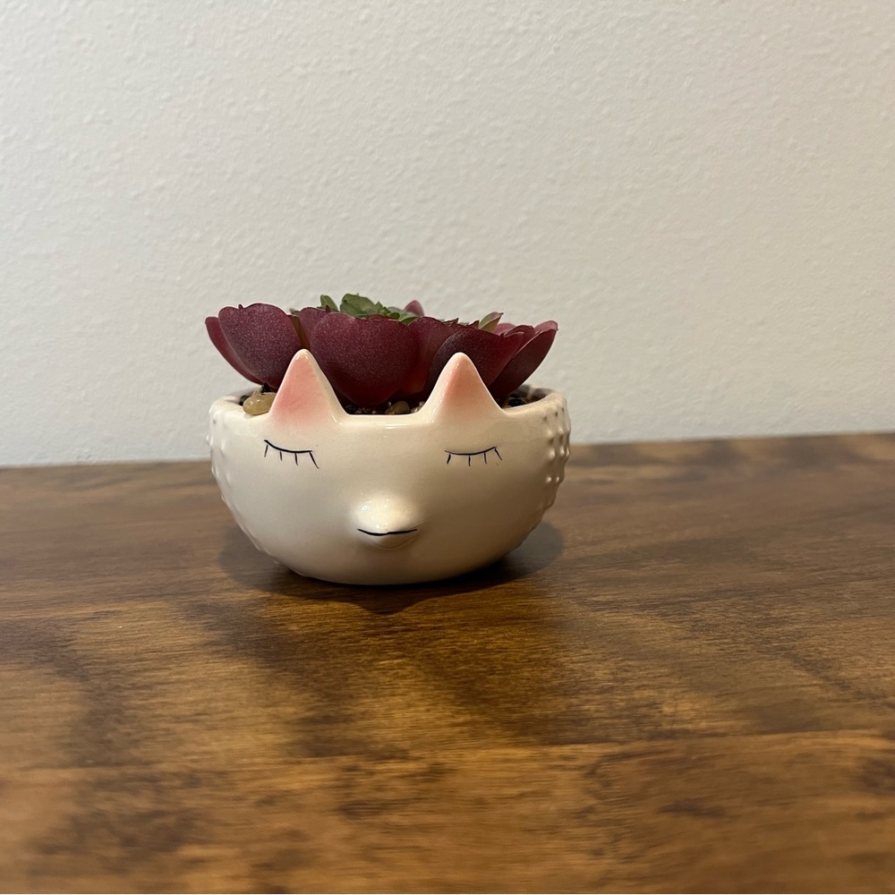 Faux succulent hedgehog planter u